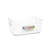B&M Small Clear Storage Tub